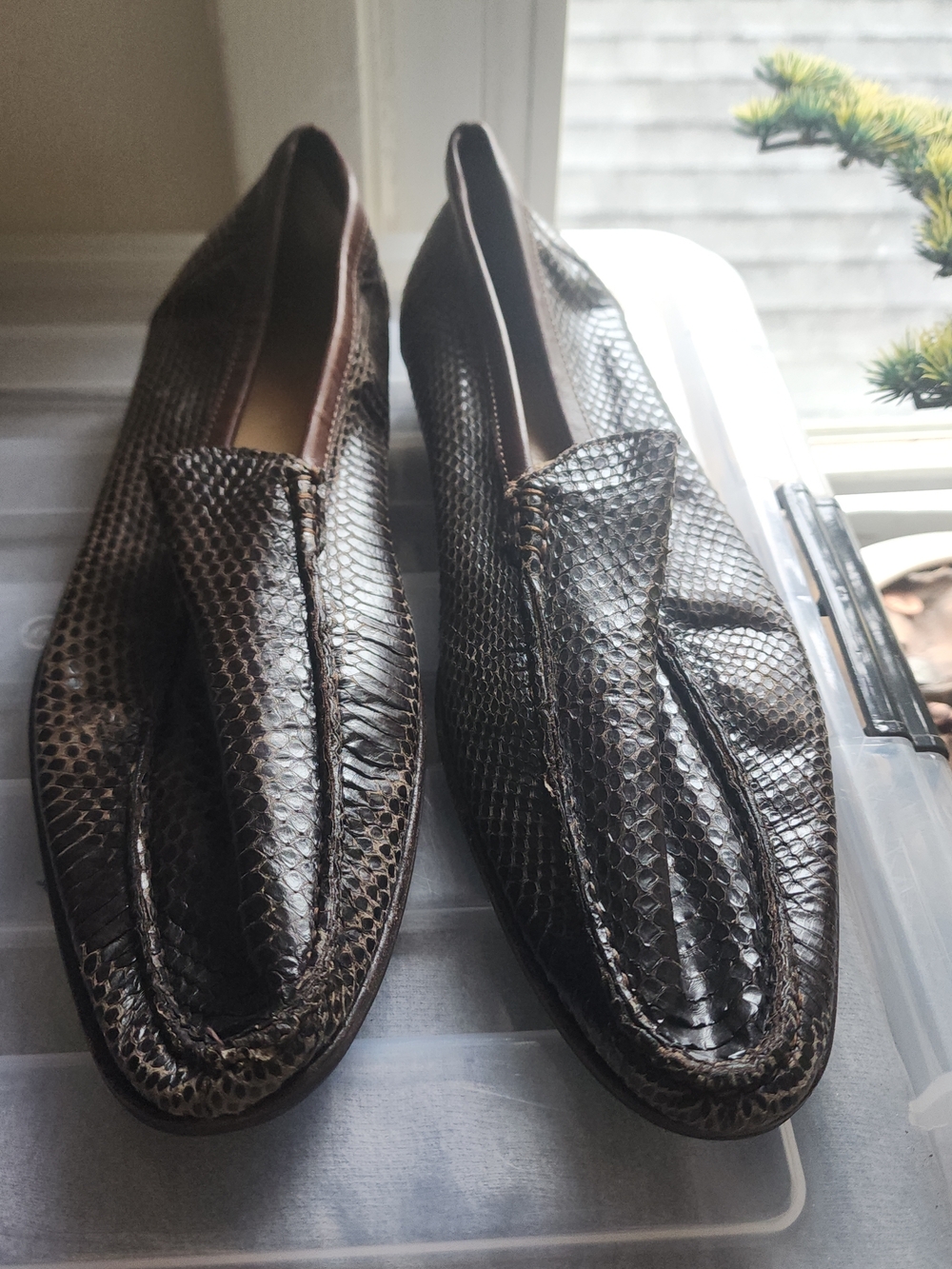 Dolce & Gabbana Men's Brown Snakeskin Slip-On Loafers